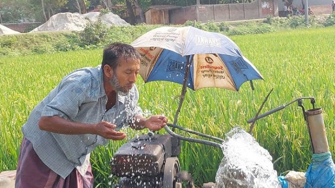 তাপ প্রবাহে চাষিদের জন্য কৃষি বিভাগের পরামর্শ